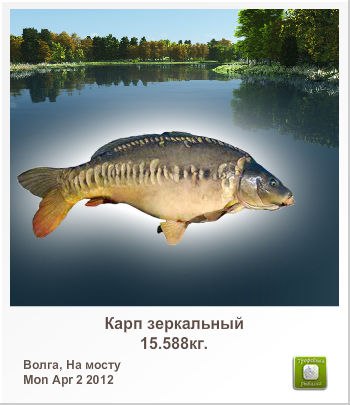 Алексей Сыромятников | Колпино