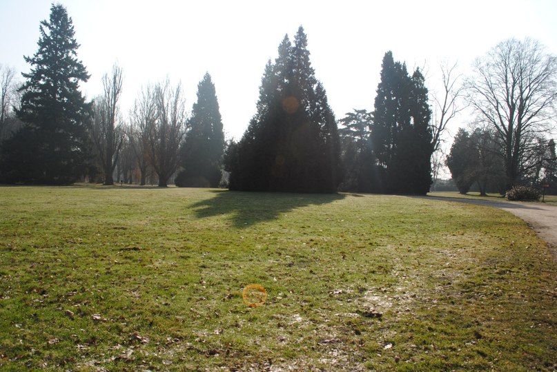 Анна Тимошкова | Москва