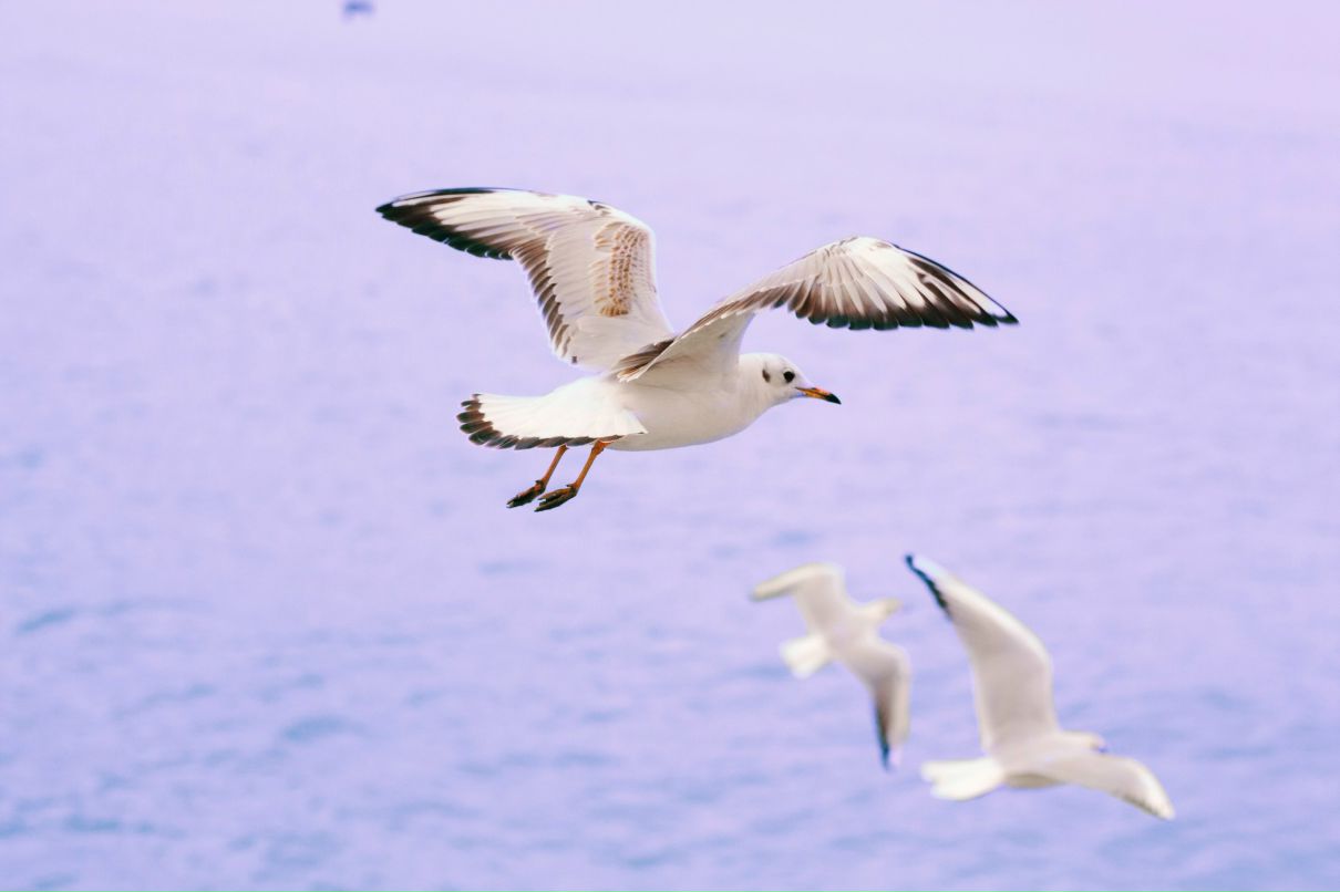 Юлиана Цветцих | Москва