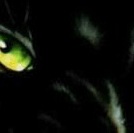 №63, Юлия Роменская, 43 года, Запорожье №63, Юлия Роменская, 43 года, Запорожье