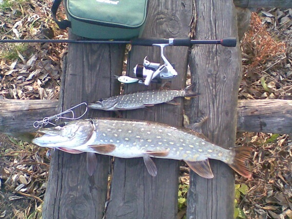 №86, Тарас Чупира, 06.10, Черняхов №86, Тарас Чупира, 06.10, Черняхов