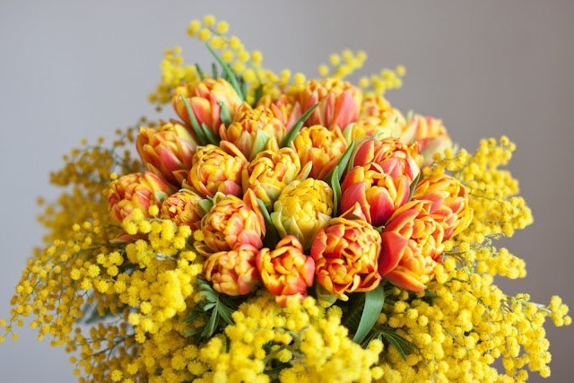 Яна Сергиякова | Севастополь