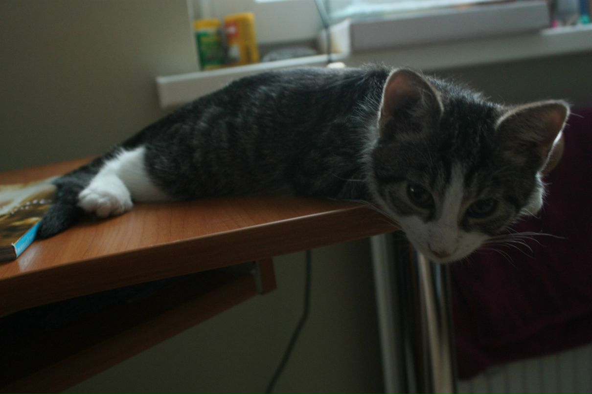 Usik Karpovich | Санкт-Петербург