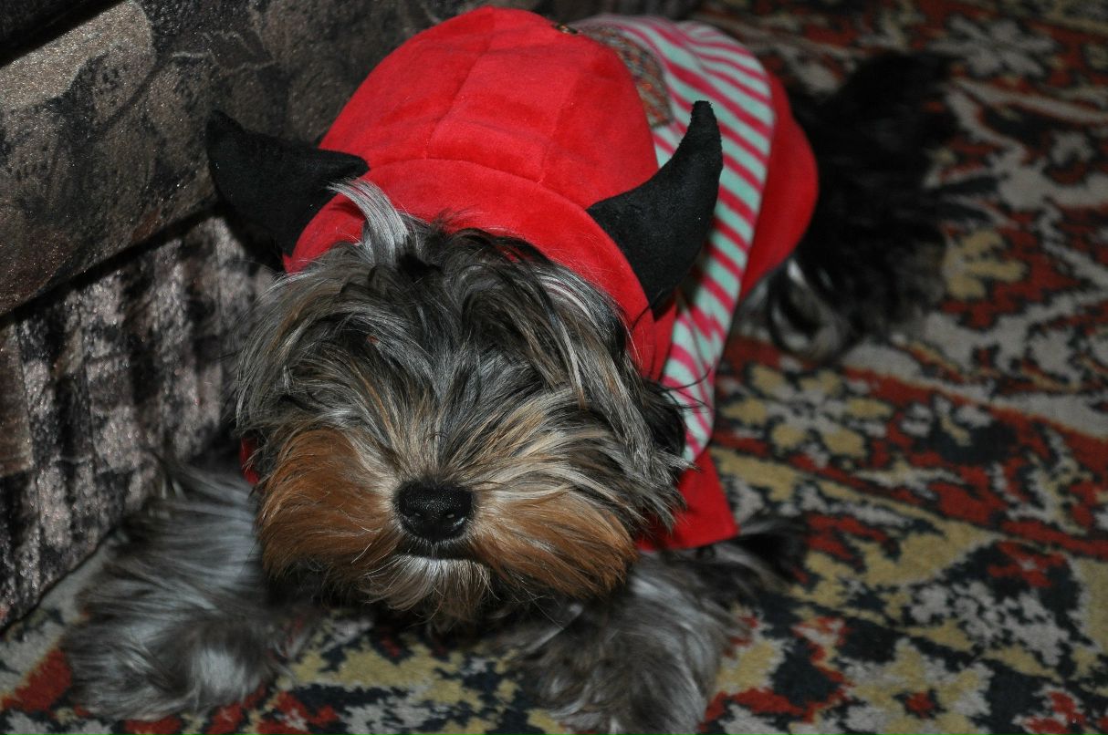 Катерина Мандрыка | Днепр (Днепропетровск)