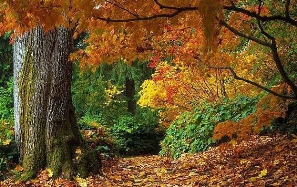 Виктория Любомирова | Москва