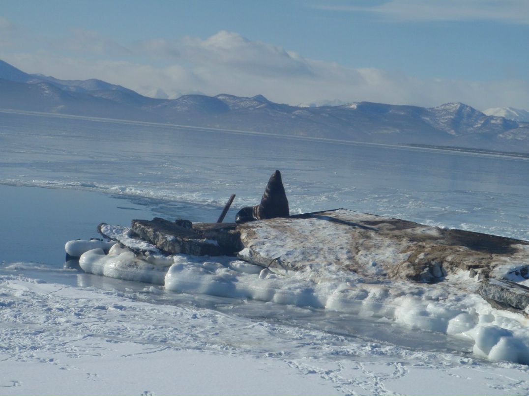 Александр Ефименко | Москва