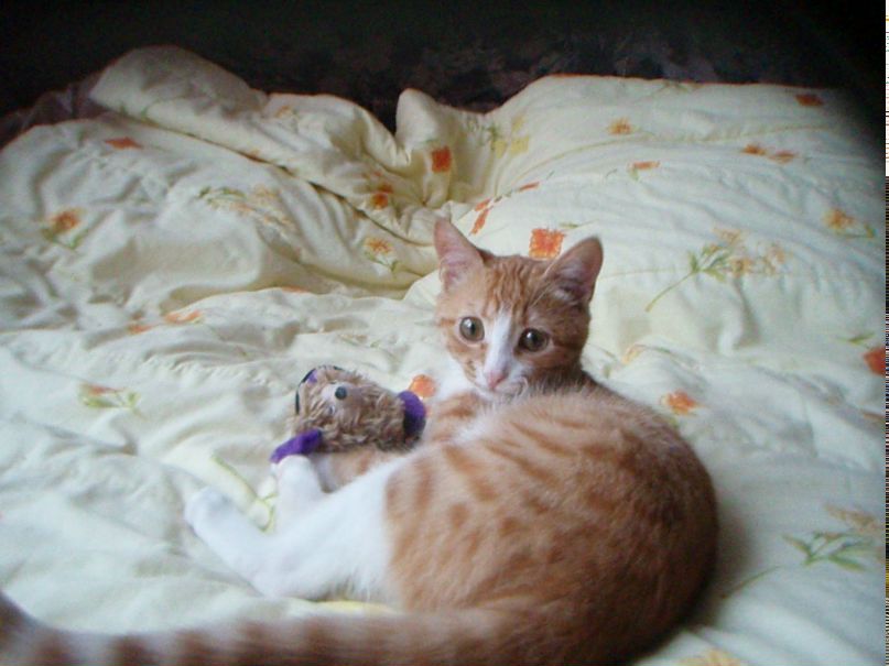 Елена Леонова | Москва