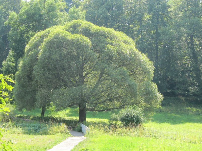 Денис Енцов | Новочебоксарск