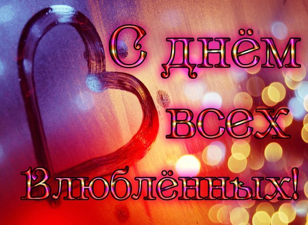 №64, Анна Соколова, Луга №64, Анна Соколова, Луга