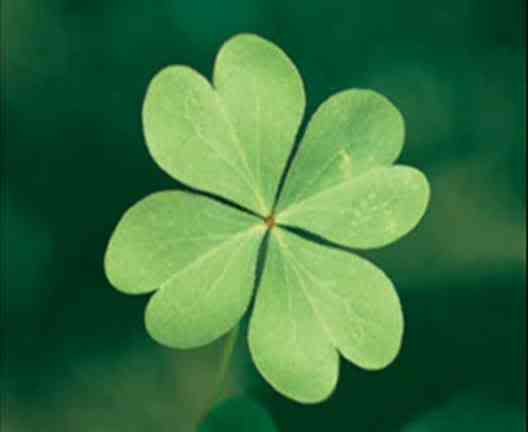 Александр Сергеевич | Екатеринбург