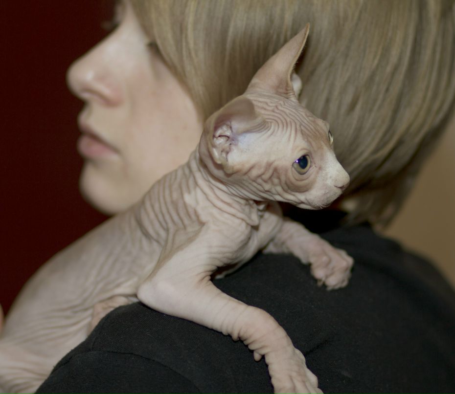 Сергей Александрович | Вологда