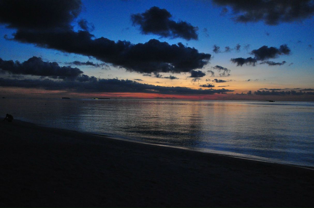 Василий Васильев | Королёв