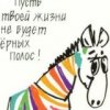 Аватар: Елена Тохунова