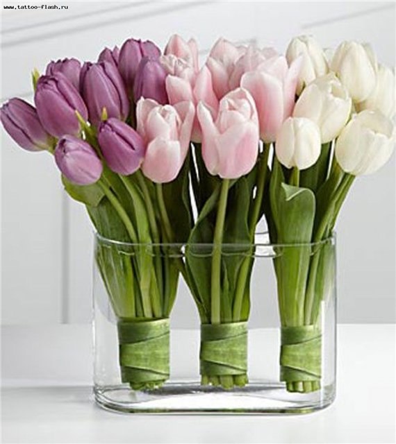 Елена Гаврилова | Чебоксары