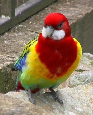 №159, Екатерина Ходжаева, Зеленоград №159, Екатерина Ходжаева, Зеленоград