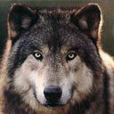 Сергей Шулаев | Москва