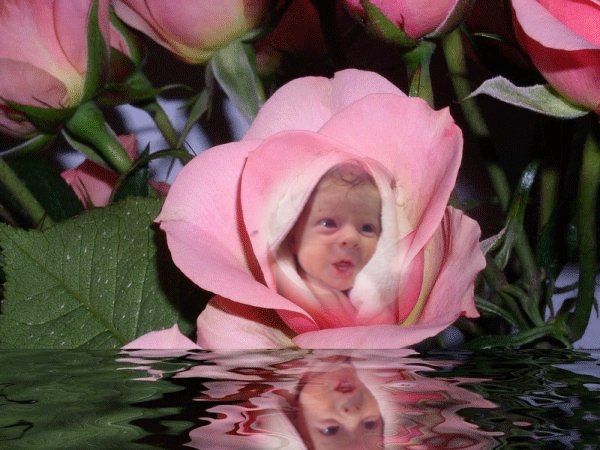 Анна Землякова | Новочеркасск