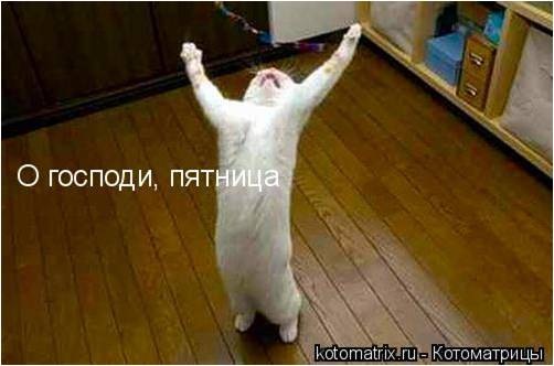 №111, Эллона Гроссман, Нетания №111, Эллона Гроссман, Нетания