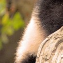 №1, Алина Деревянко, Харьков №1, Алина Деревянко, Харьков