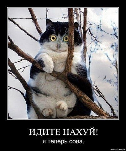 №27, Максим Щоколов, Донецк №27, Максим Щоколов, Донецк