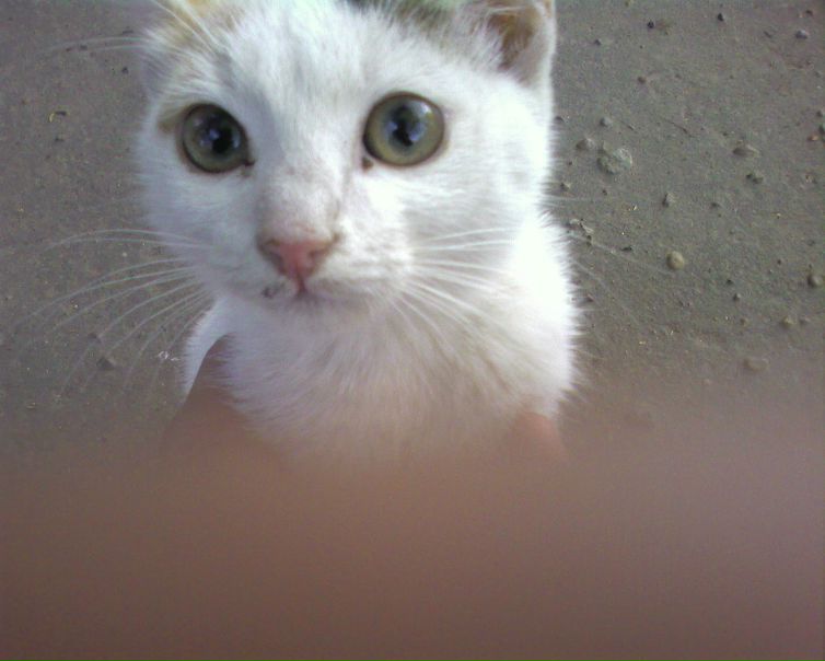 №4, Николай Кудрявцев, Йошкар-Ола, Россия №4, Николай Кудрявцев, Йошкар-Ола, Россия