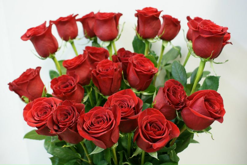 Оксана Башинская | Северодвинск