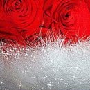 №62, Ирина Ирина, Санкт-Петербург №62, Ирина Ирина, Санкт-Петербург
