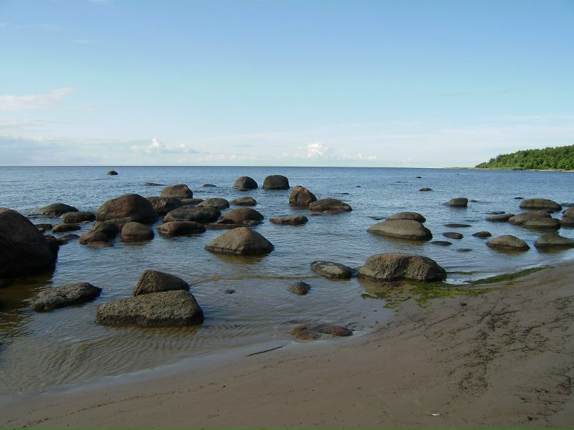 Ольга Лайзане | Рига