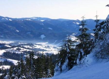 Руслан Степаняк Bandera | Львов
