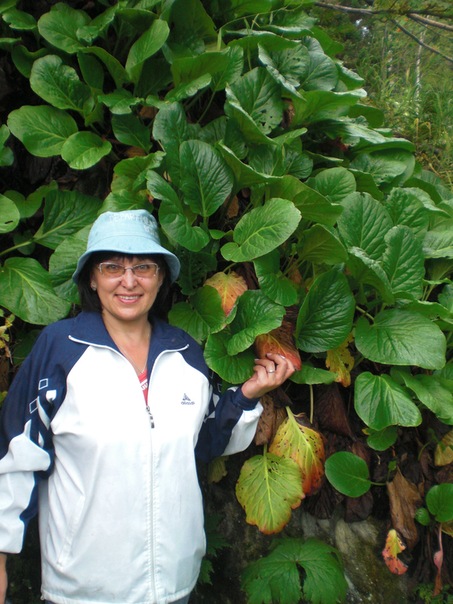 №47, Лариса Осипова, Новосибирск №47, Лариса Осипова, Новосибирск