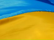 Фотография Закадр Вникадрович нитронутый