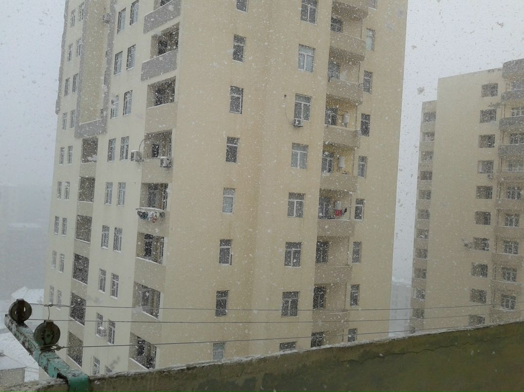 Тимур Кязимов | Санкт-Петербург