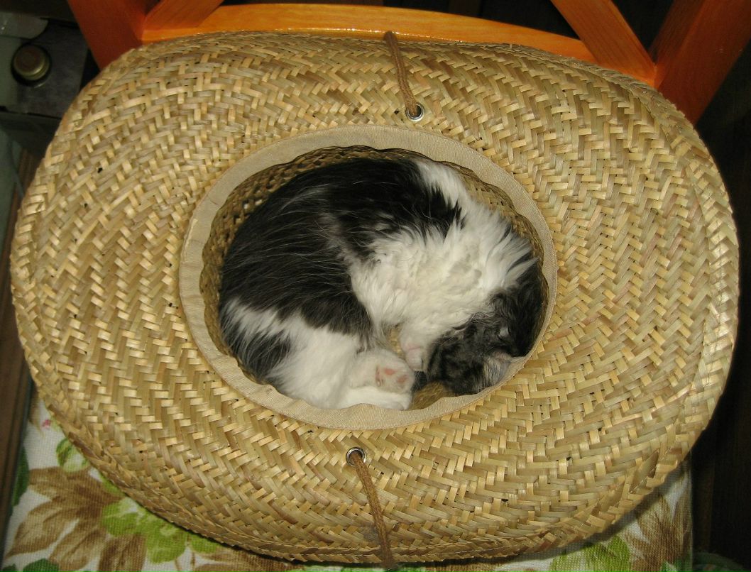 Настена Абрамова | Санкт-Петербург