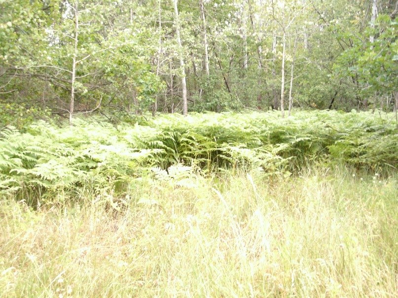 Дмитрий Фомин | Самара