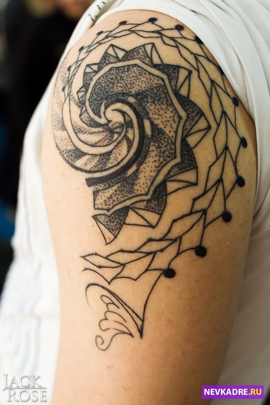 Влад Спильник | 