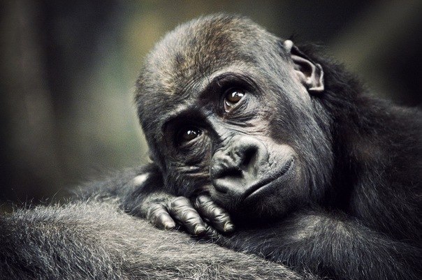 Алина Ветрова | Екатеринбург