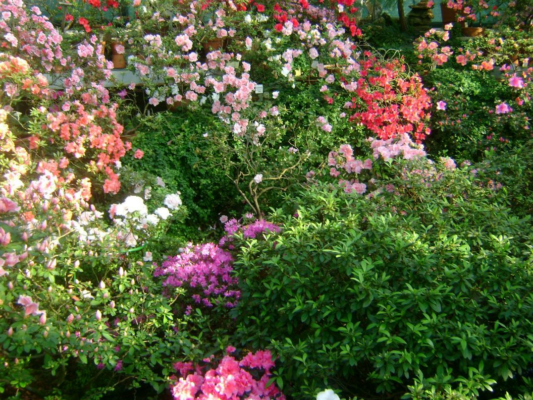 Ольга Кузнецова | Санкт-Петербург