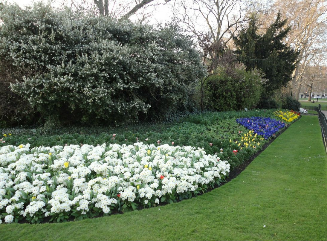 Анна Сватовская | Санкт-Петербург