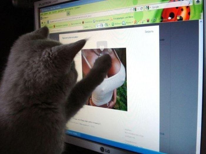 Кирилл Берсенев | Набережные Челны