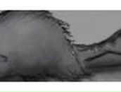 Антон Горковенко | Удачный