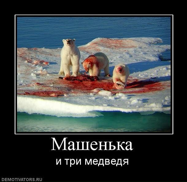 №6, Юрий Усик, Славянск №6, Юрий Усик, Славянск