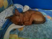 №37 Татьяна Короткова 08.02.1985: профиль, фото, статус - ВКонтакте №37 Татьяна Короткова 08.02.1985: профиль, фото, статус - ВКонтакте