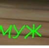 №11, Юлия Шавкуненко №11, Юлия Шавкуненко