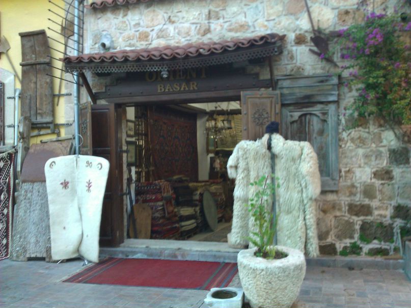 Александр Прокопенко | Сочи