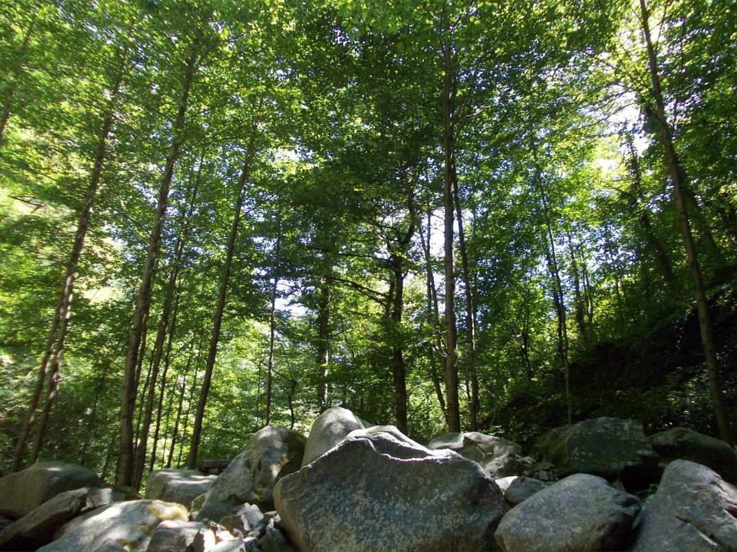 Дима Кондратьев | Пермь