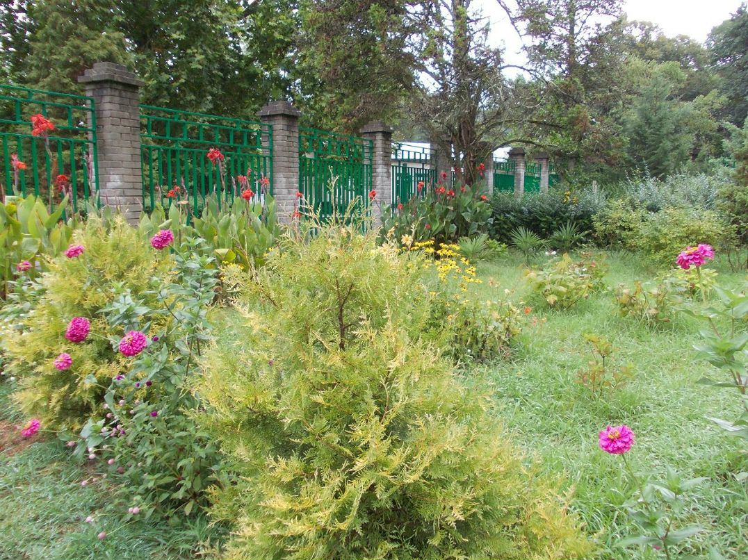 Дима Кондратьев | Пермь