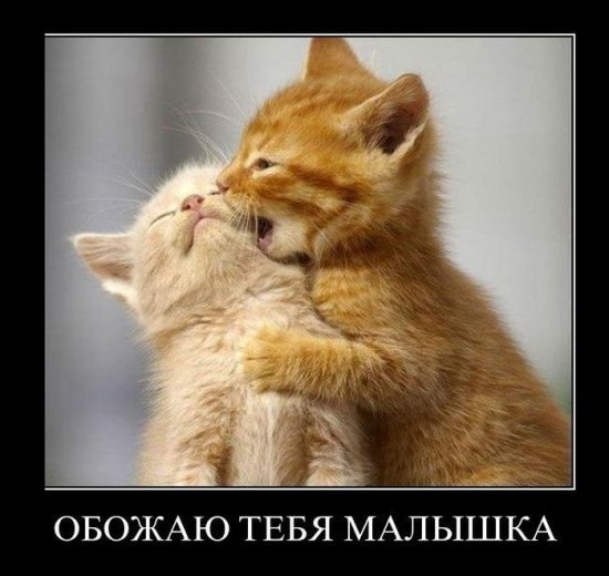 Яна Солнцева | Харьков