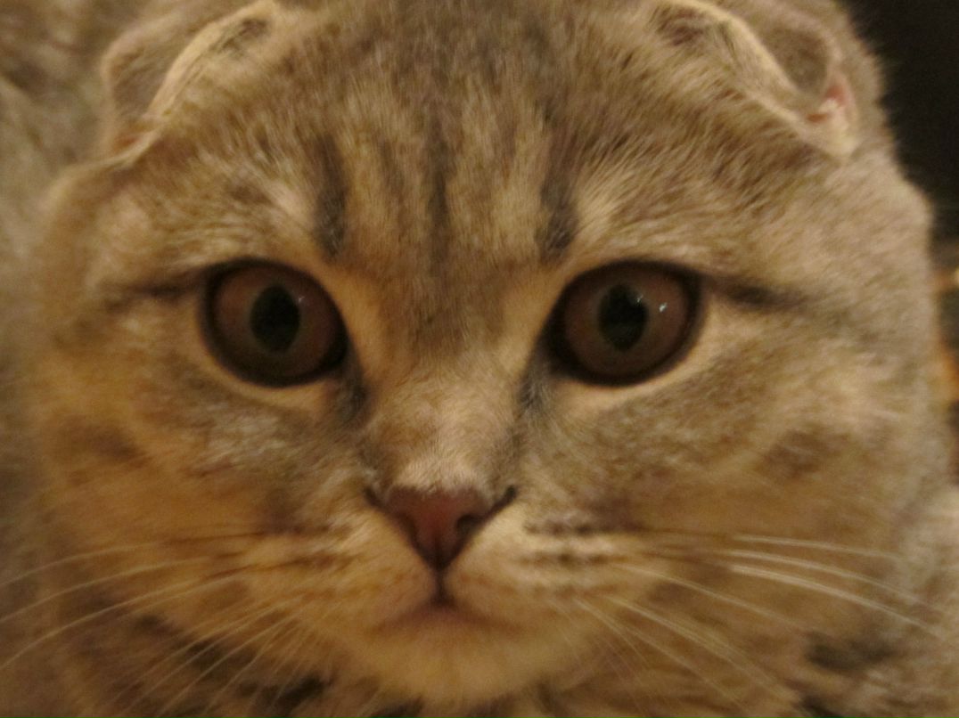 Аркадий Ламтюгов | Москва