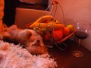 №8 Полинка Кузьмина 08.10.2000: профиль, фото, статус - ВКонтакте №8 Полинка Кузьмина 08.10.2000: профиль, фото, статус - ВКонтакте