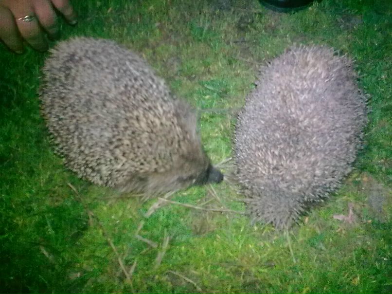 Влад Білан | Побережье